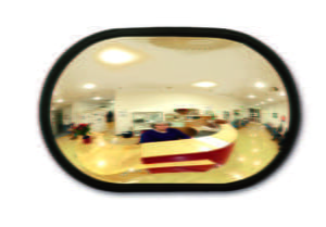 Wall Mounted Convex Mirror