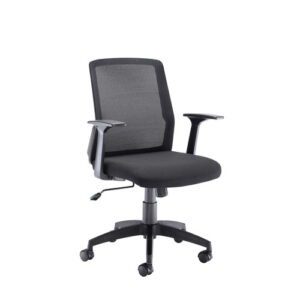 Denali Mid Back Office Mesh Chair
