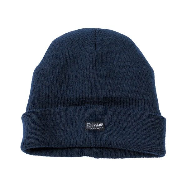 401 Fort Thinsulate Knitted Watch Hat