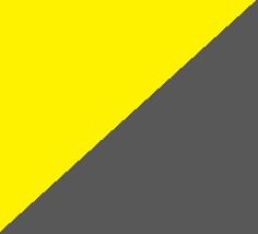 Fluorescent Yellow-Grey