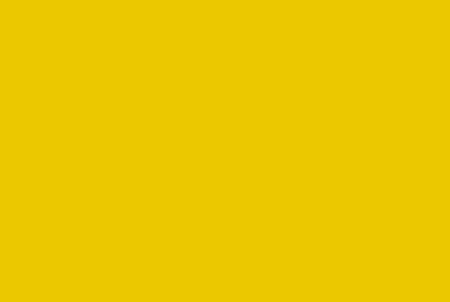 Signal Yellow RAL 1003