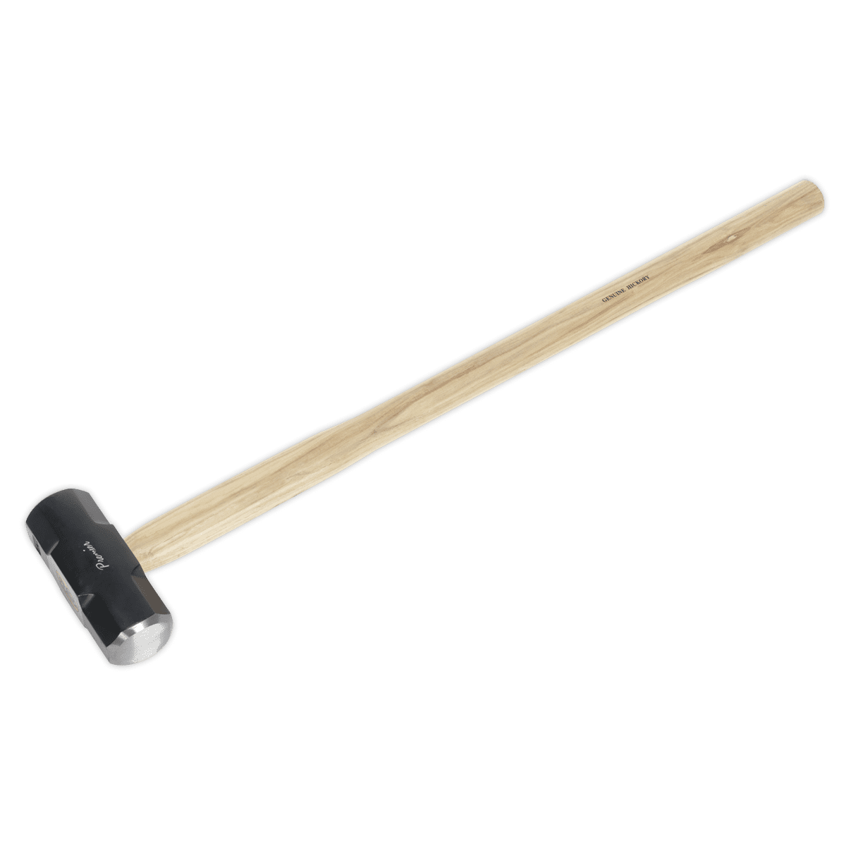 Sealey Sledge Hammer 10lb Hickory Shaft SLH10 | Aldea Group